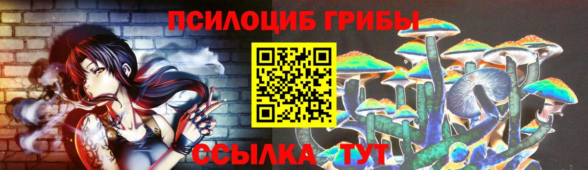 Псилоцибиновые грибы MAGIC MUSHROOMS  Вход с VPN  Псилоцибиновые грибы Cubensis  Янаул 