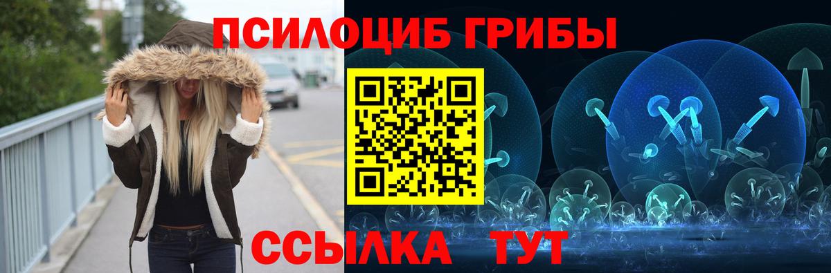 Галлюциногенные грибы Psilocybe Янаул